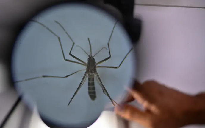 Advierten que el riesgo de dengue se mantiene alto en Corrientes