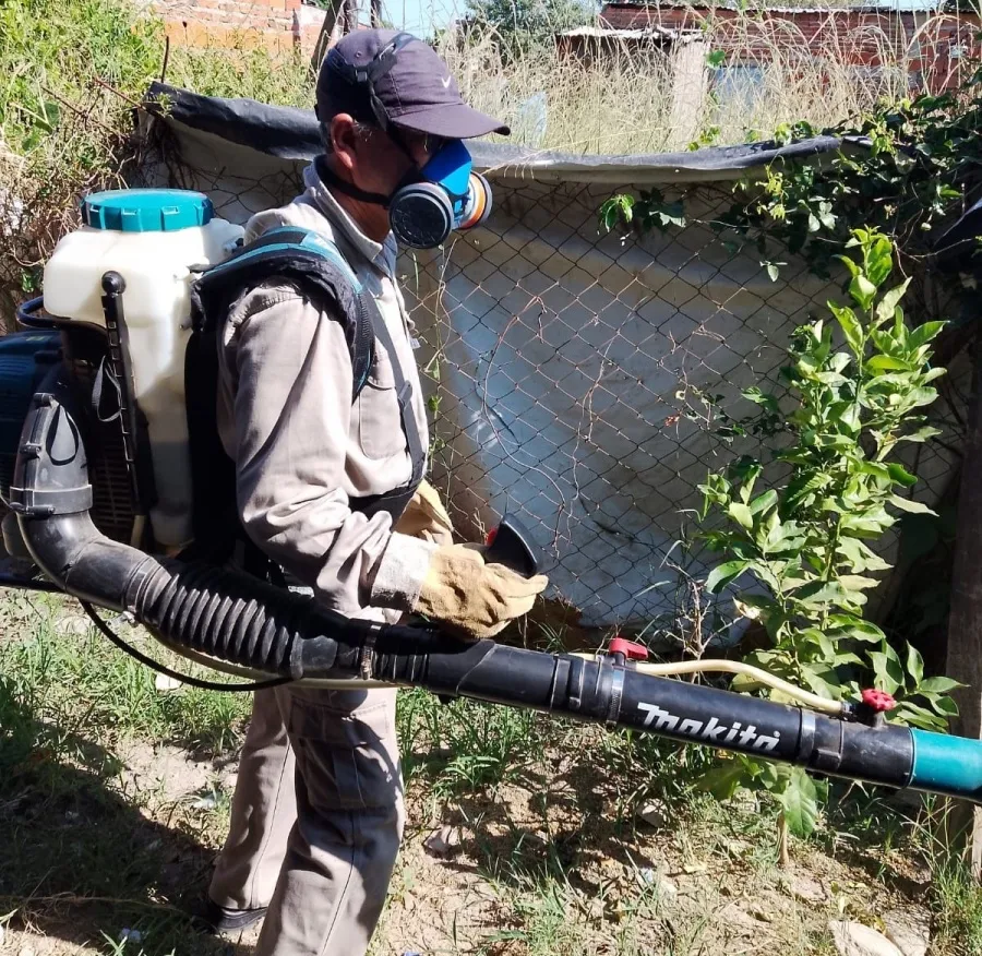 Corrientes: confirman el primer caso de dengue del 2026