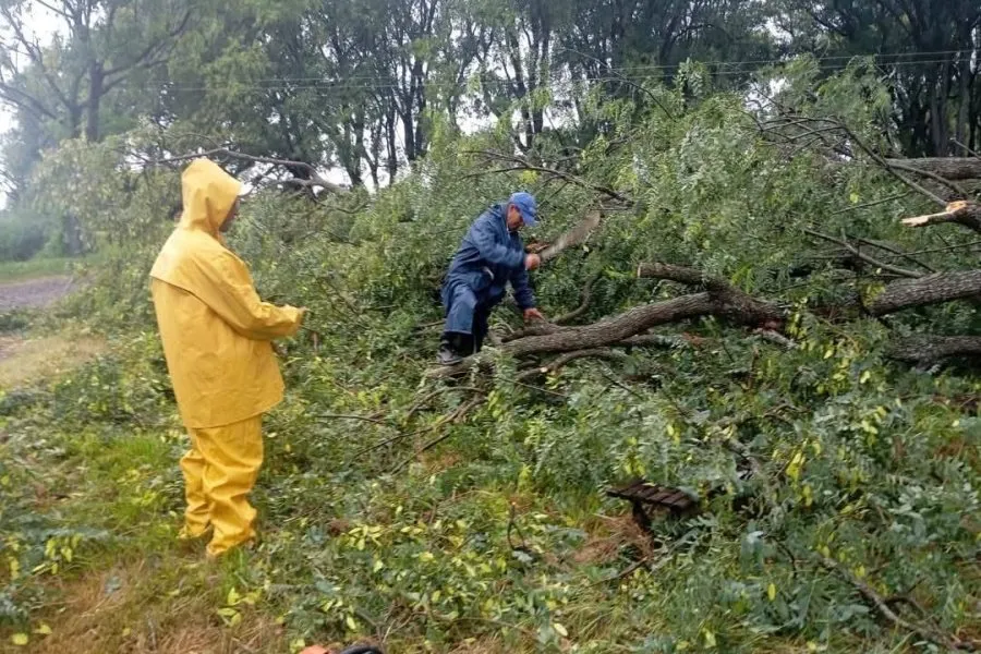 Sur correntino: fuertes ráfagas de viento y lluvia en Esquina