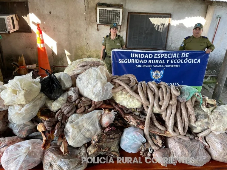 Secuestran más de 500 kilos de carne en mal estado en una carnicería