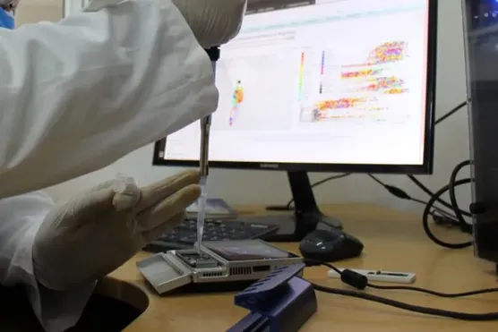 Los creadores del ChatGPT identificaron las 44 profesiones en riesgo por la inteligencia artificial