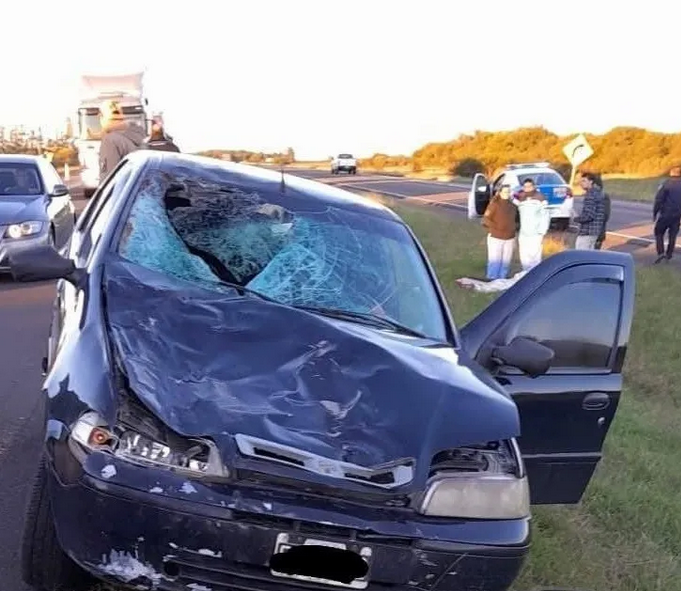 Choque en Ruta 14: un auto impactó contra un caballo y un hombre sufrió lesiones leves