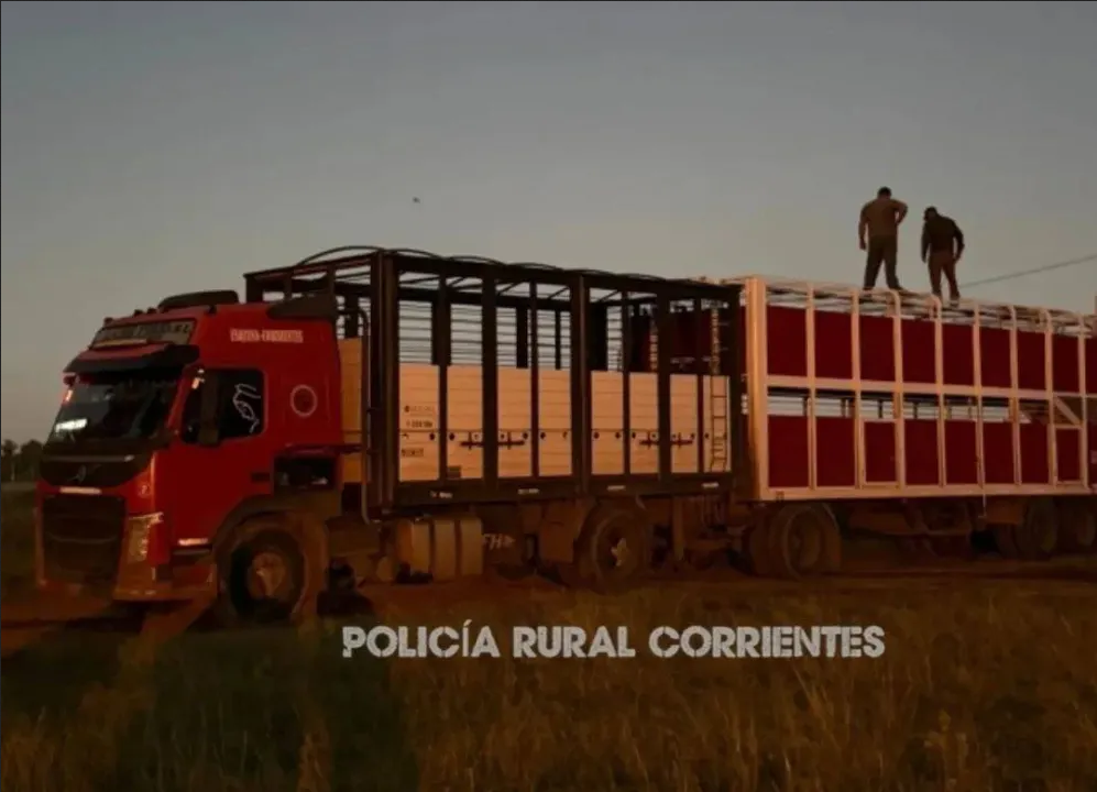 Secuestran 82 vacas y un camión por irregularidades en la documentación de traslado