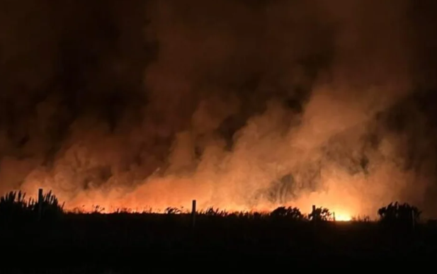 Incendio forestal en Mar del Plata: más de 200 hectáreas arrasadas