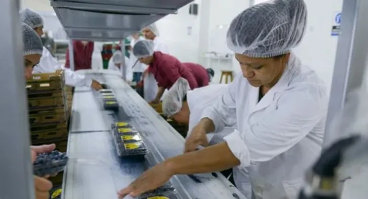 "Es mentira que el Gobierno bajó los impuestos", advierten las Pymes