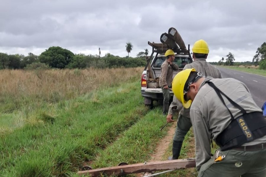 Diputados piden congelar por seis meses aumentos de la tarifa energética en Corrientes