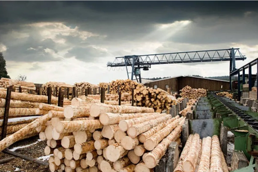 El sector forestal de Corrientes proyecta aumentar más de 20 mil empleos