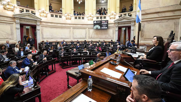 Armas de fuego, fondos buitre y pliegos de jueces: los tres ejes principales del debate en el Senado