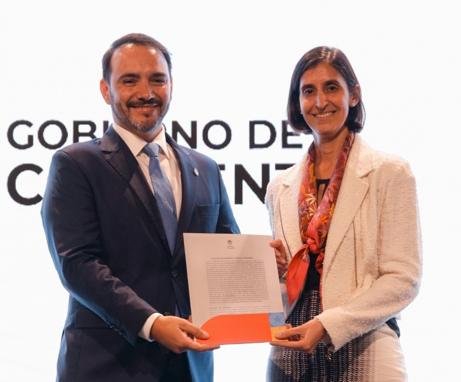 En Corrientes van a crear una planta de fibra de pino de alta calidad