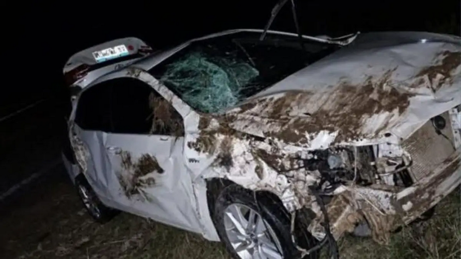 Corrientes: un auto impactó contra un chancho salvaje sobre la Ruta 123