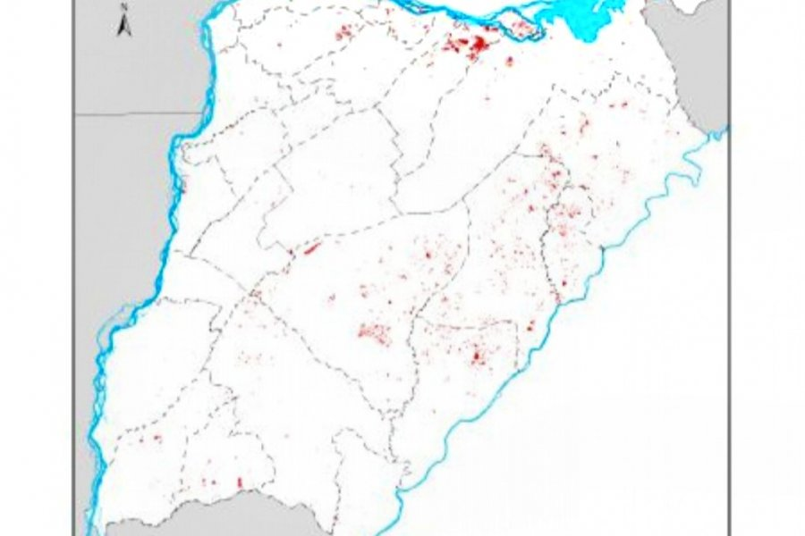 Durante el primer trimestre de 2026 se quemaron más de 81 mil hectáreas en Corrientes