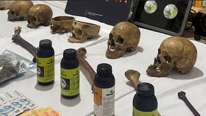 Macabro hallazgo en Córdoba: un cultivador de marihuana escondía una colección de cráneos humanos