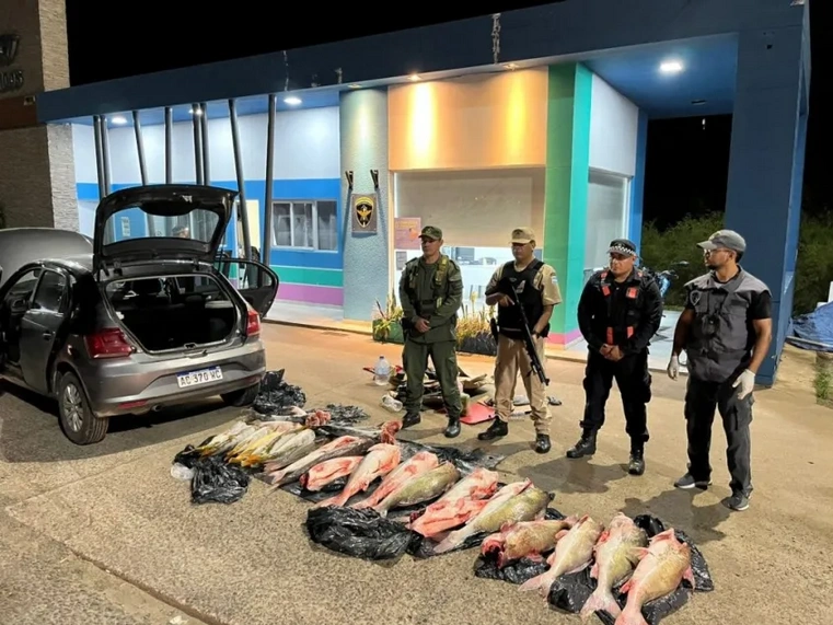 Incautaron más de 130 kilos de pescado transportado ilegalmente