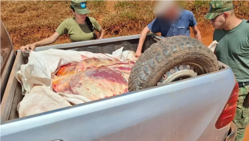 Corrientes: llevaban 800 kilos de carne clandestia en una camioneta con pedido de secuestro