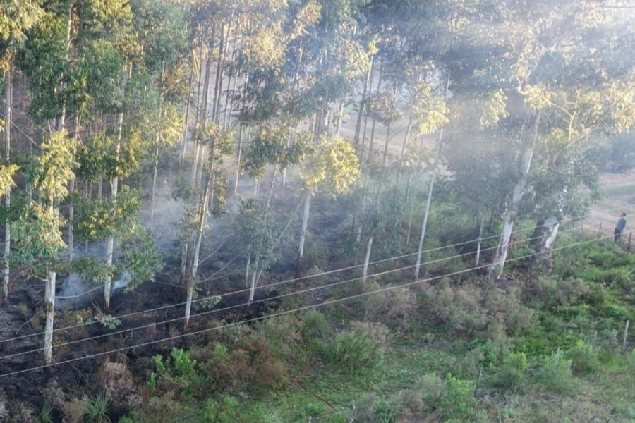 Bomberos llegaron a tiempo y controlaron lo que pudo ser una tragedia forestal en Mocoretá