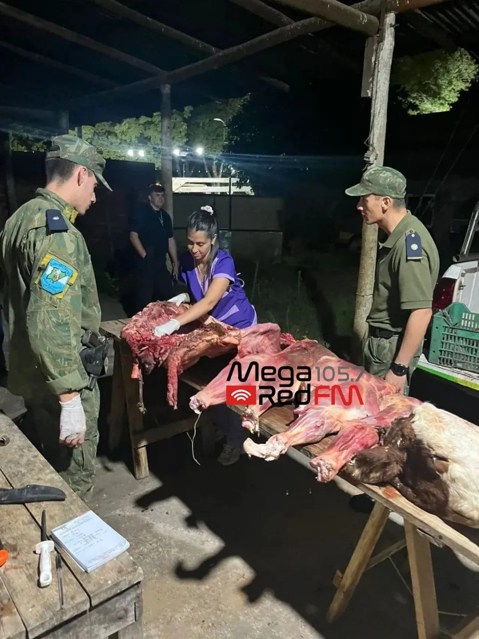 Abigeato en Santa Rosa: una investigación judicial reveló faena clandestina en pleno centro