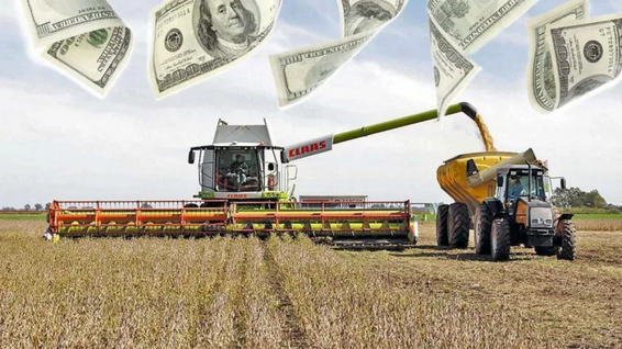 Revelan que 1 de cada 4 pesos del precio de la carne, el pan y la leche son de los impuestos