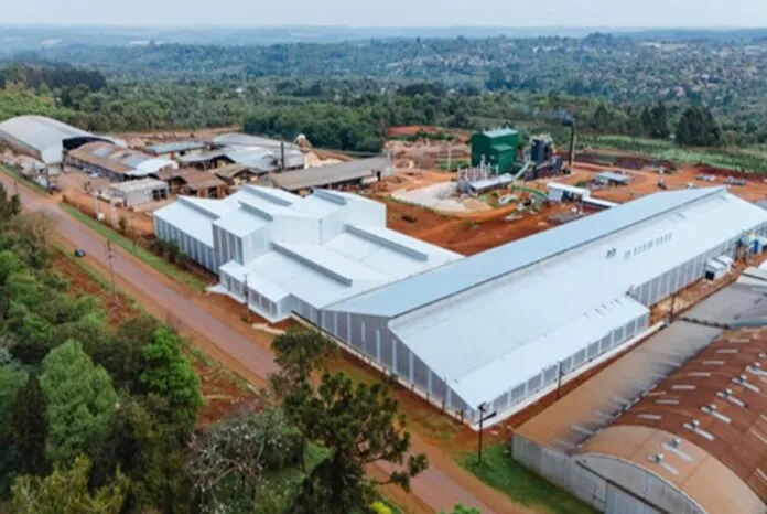 Misiones | TOLL Maderas obtiene certificación internacional FSC en Cadena de Custodia y Madera Contr