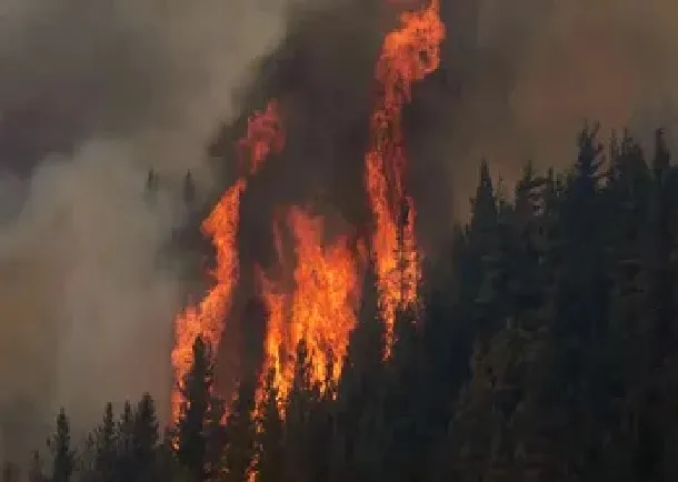 Chubut: se intensifican los incendios por la ola de calor, la sequía y los vientos que azotan la reg