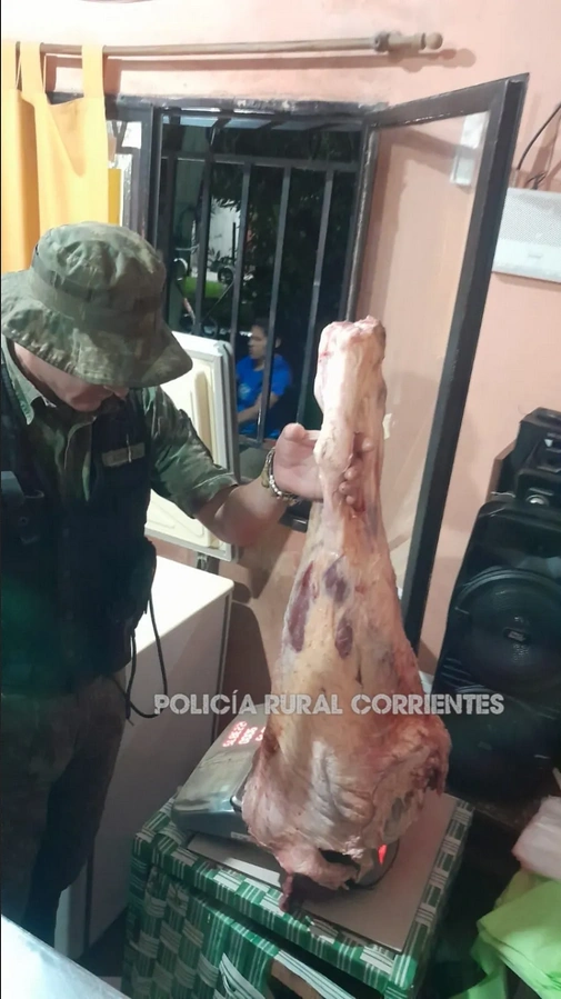 Secuestraron más de 200 kilos de carne en mal estado que estaba para la venta