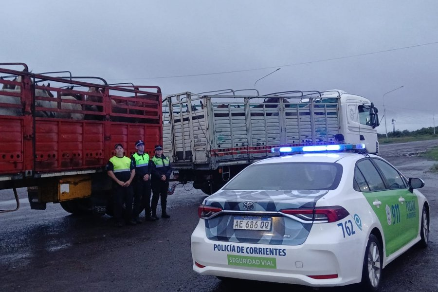 Secuestran un camión con caballos por Ruta Nacional Nº12 Corrientes