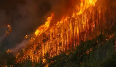 Los incendios forestales arrasaron más de 60 mil hectáreas en la Patagonia