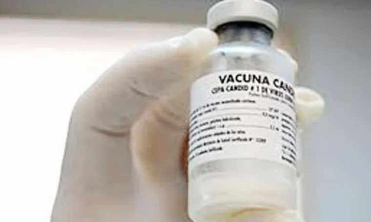Alerta por ébola: qué es y cuál es la situación en Argentina