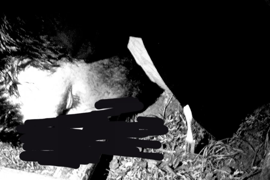 Ladrón terminó muerto tras entrar a robar a una casa en Corrientes
