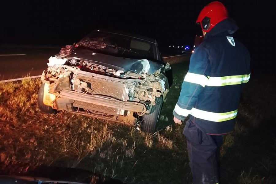 Chocó contra un búfalo en plena RN 12 en el interior de Corrientes