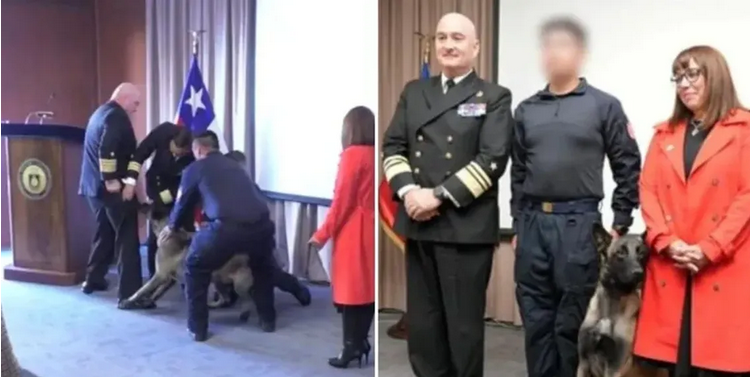 Chile: un perro antidrogas se abalanzó sobre un vicealmirante en plena ceremonia naval