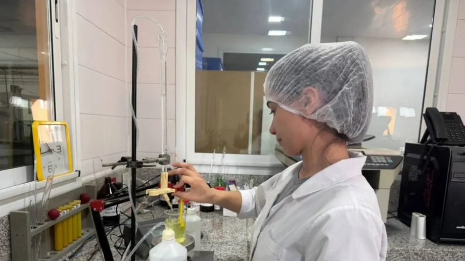 Corrientes: la industria del limón genera empleo regional y procesa 250 toneladas diarias