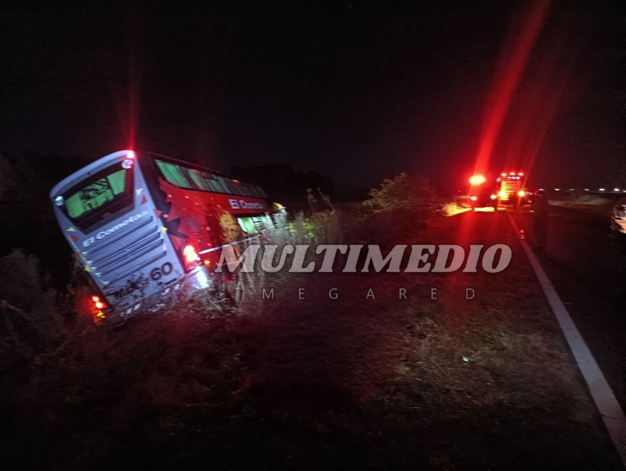 San Miguel: un micro de larga distancia terminó en la banquina  luego de atropellar un búfalo suelto