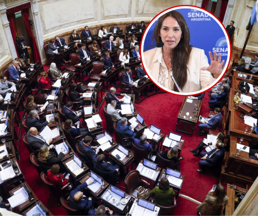 Aprobaron el pliego de Verónica Michelli, Bullrich se abstuvo