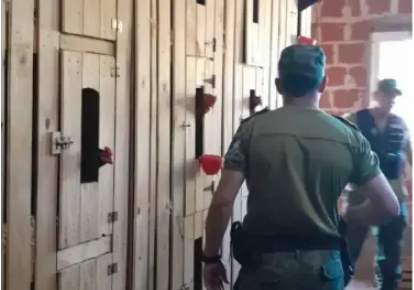 Desbaratan un criadero de gallos de riña en un allanamiento rural en el interior de Corrientes