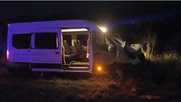 Combi atropelló caballo en la Ruta 12 y hubo heridos