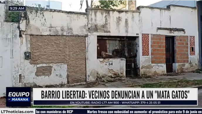 Conmoción en el barrio Libertad: vecinos denuncian una matanza masiva de gatos