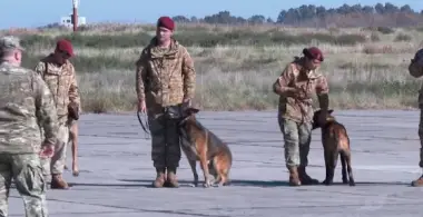 Argentina envió brigadistas y perros entrenados para ayudar en las tareas de rescate