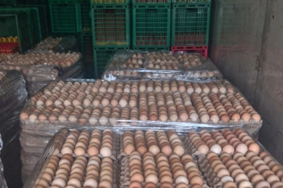 Corrientes: SENASA detectó transporte con más de 4.800 docenas de huevos sin garantías sanitarias