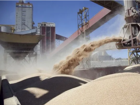 Las exportaciones agroindustriales alcanzaron 53 millones de toneladas y u$s22.383 millones