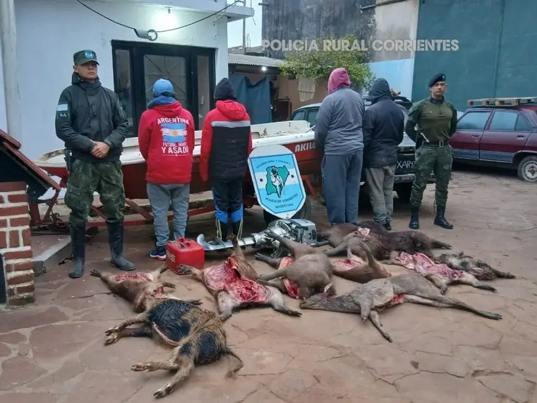 Caza furtiva: detuvieron a cuatro hombres con once animales silvestres faenados