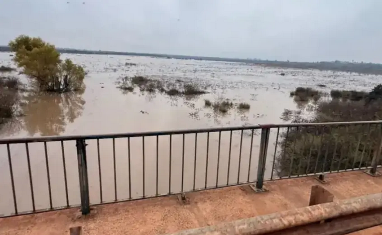 "Cerca de los niveles de alerta": monitoreo constante por la creciente del río Uruguay