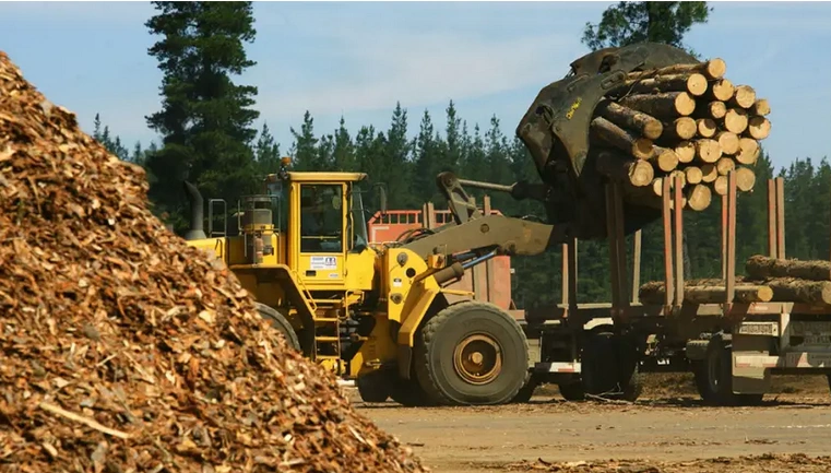 Alerta en el sector forestal correntino: la caída del consumo interno golpea a los aserraderos local