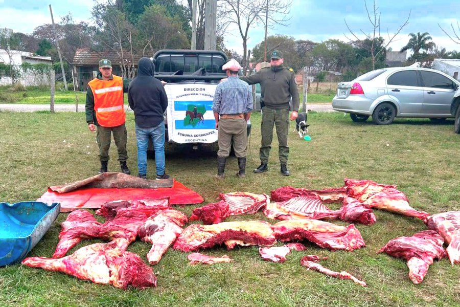 Cuatreros imparables: detuvieron a dos hombres con casi 500 kilos de carne faenada clandestina