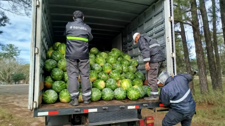 Corrientes: evitaron el transporte de casi 9 toneladas de frutas que carecían de garantías sanitarias