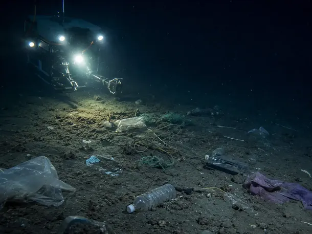 Científicos alertan por la cantidad de basura atrapada en las profundidades del Mar Argentino
