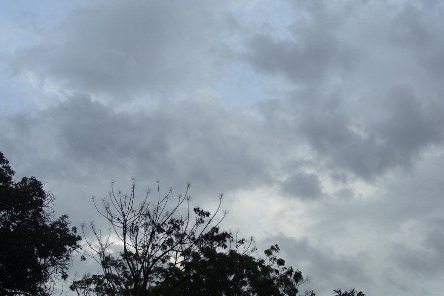 Pronóstico del tiempo: así estará el clima este martes en Corrientes