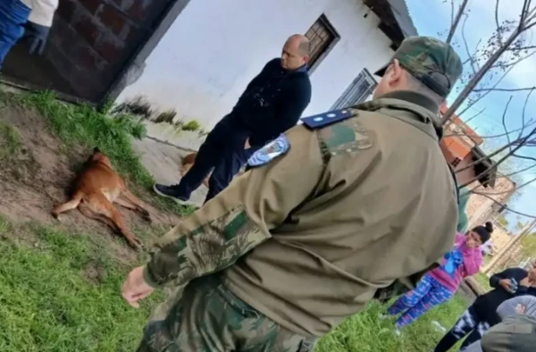 Un hombre terminó preso tras ser acusado de asesinar a un perro