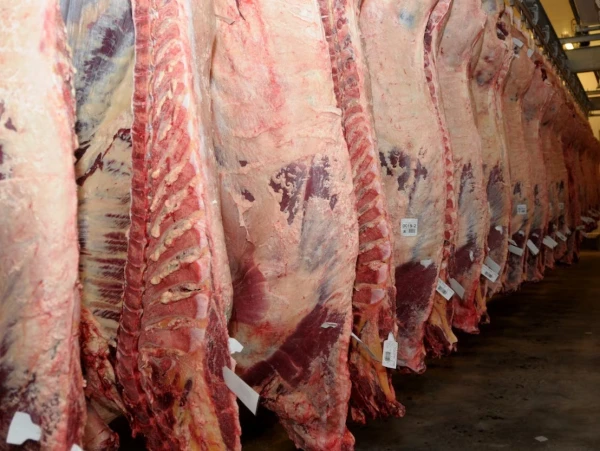 "Argentina está dentro de los cinco países con mayor consumo de proteína animal"