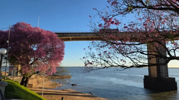 Un domingo con cielo despejado: se espera una semana con sol en Corrientes