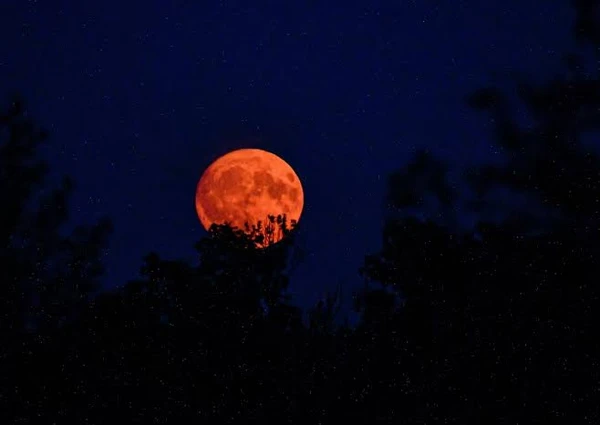 "Luna de Sangre": cómo ver el eclipse lunar de este jueves en Buenos Aires